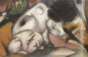 Franz Marc, Pigs (mk34)